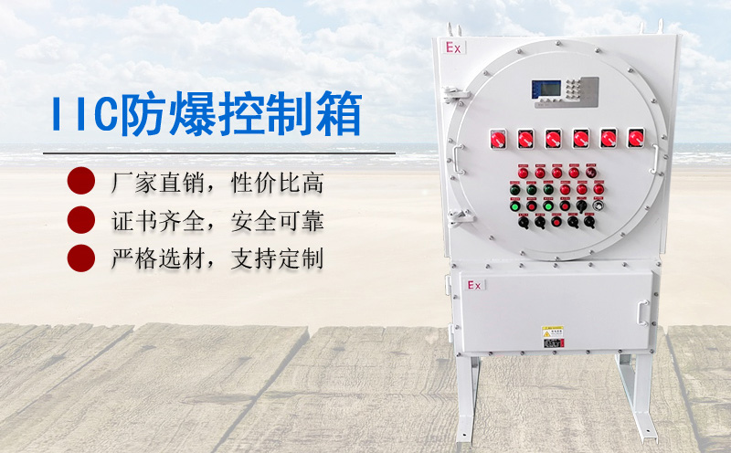 防爆電氣控制箱 防爆電氣控制箱